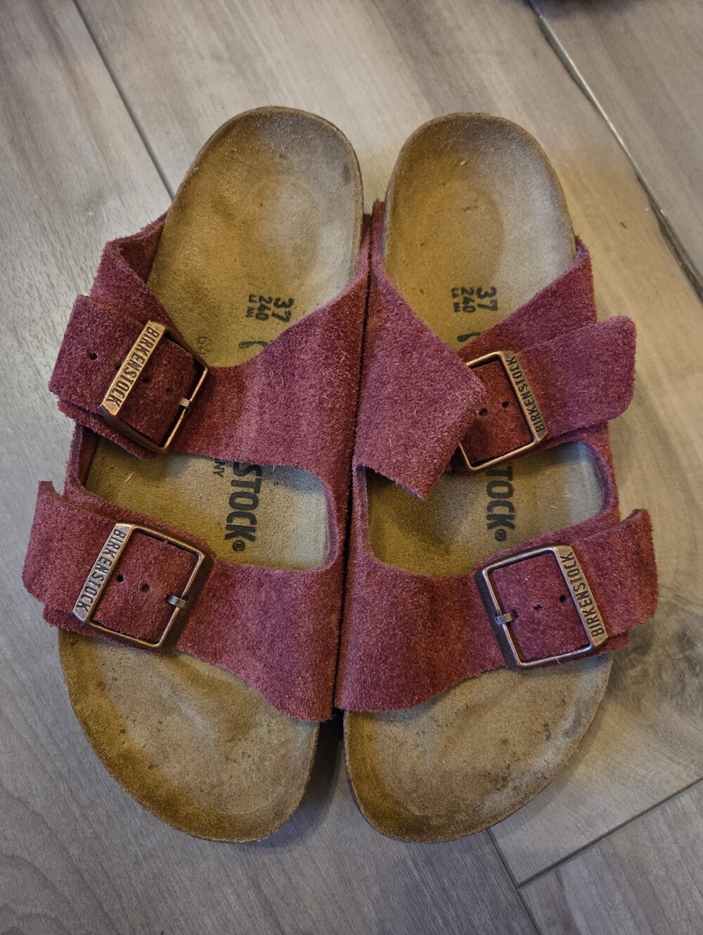 Birkenstock Arizona Sandals in Burgundy Suede